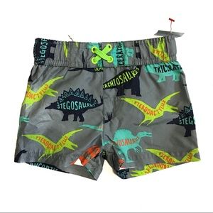 Boys 12M Swim Trunks